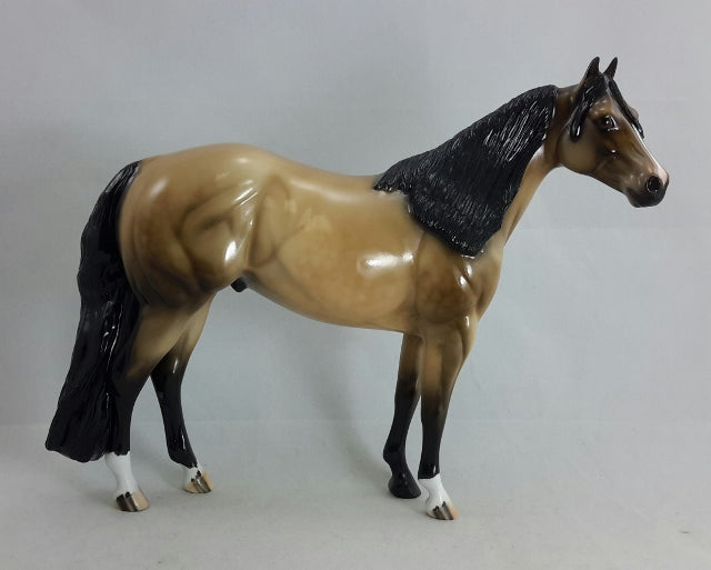THIRST FOR GOLD - OOAK Sooty Buckskin Stock Horse