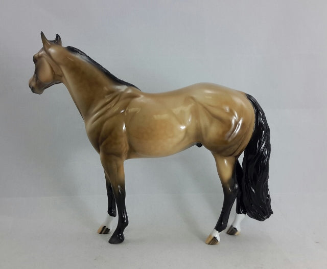 THIRST FOR GOLD - OOAK Sooty Buckskin Stock Horse