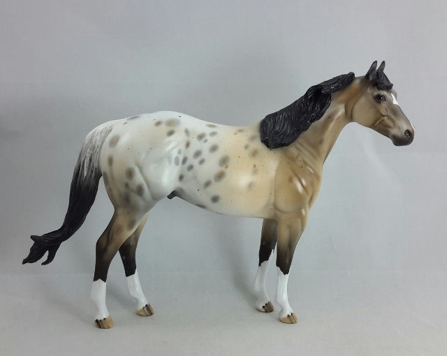CASTILLE - OOAK Buckskin Appaloosa Stock Horse