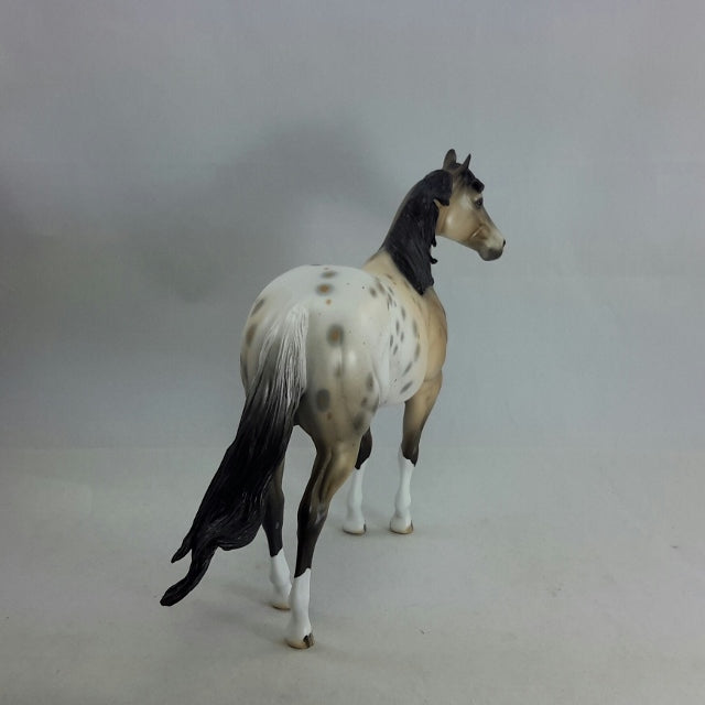 CASTILLE - OOAK Buckskin Appaloosa Stock Horse