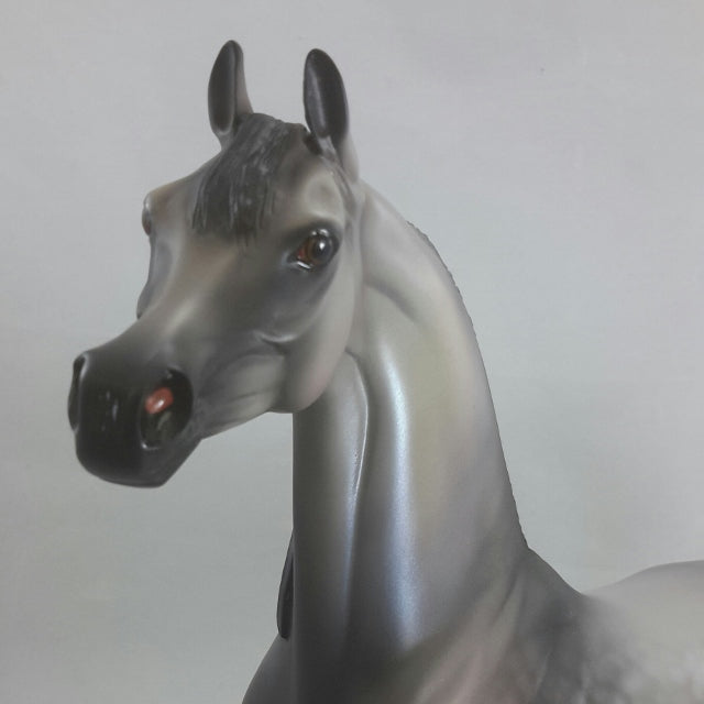 NJORO - Arabian Artist Resin Horse Sculpture by Caroline Boydston