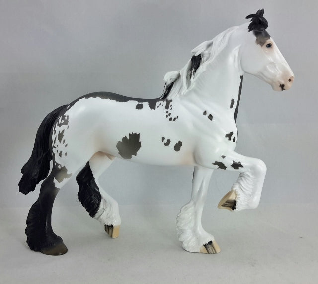 THE WORLDS NOT FLAT - OOAK Black & White Sabino Trotting Drafter