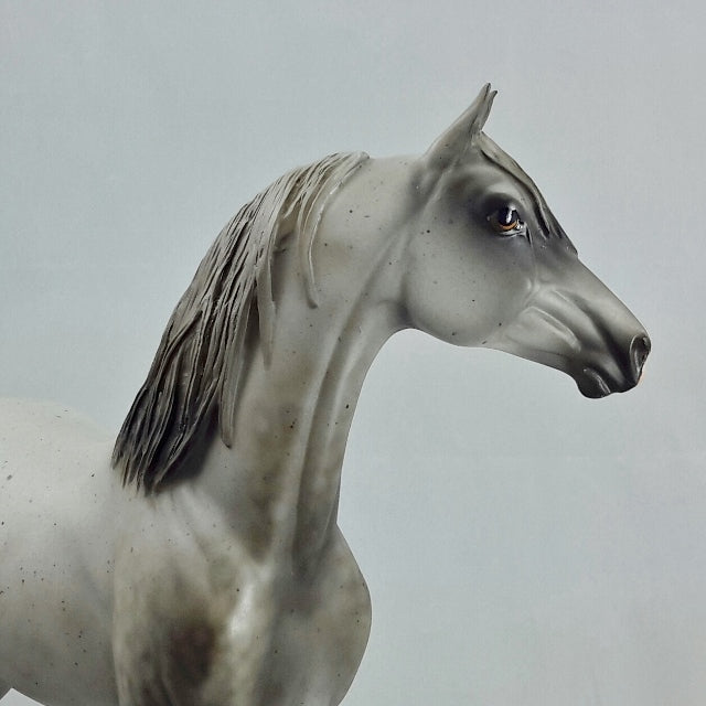 ACROSS THE SEA - OOAK Chestnut Going Gray Morgan