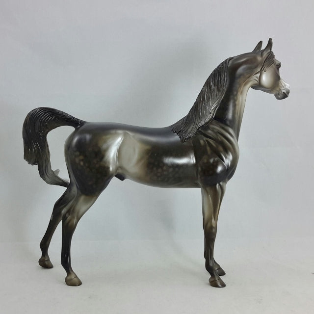 SON OF A WEAVER - OOAK Dapple Black Going Gray Arabian