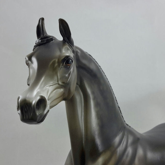 SON OF A WEAVER - OOAK Dapple Black Going Gray Arabian