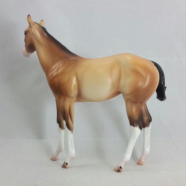 SIAFU - Buckskin Weanling by Caroline Boydston