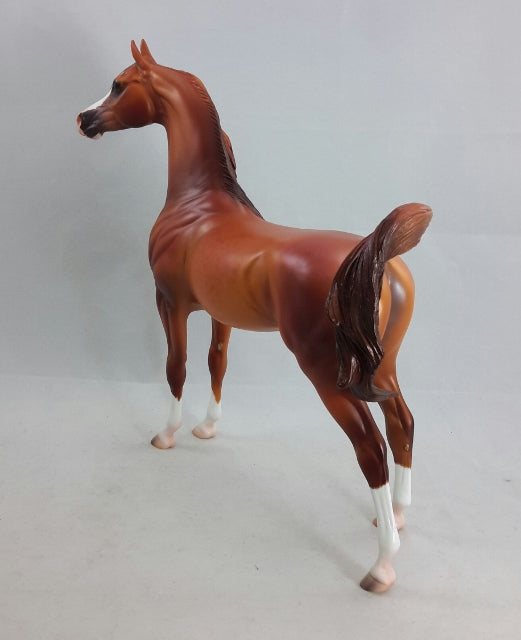 KINANJUI - Bright Dapple Chestnut Arabian by Caroline Boydston