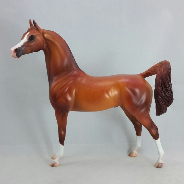 KINANJUI - Bright Dapple Chestnut Arabian by Caroline Boydston