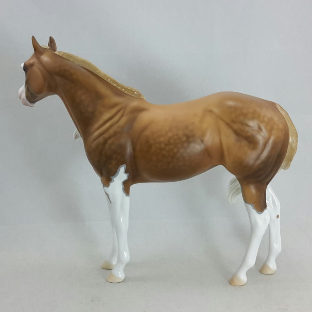SHIPS WHEEL - OOAK Dapple Sooty Palomino Stock Horse