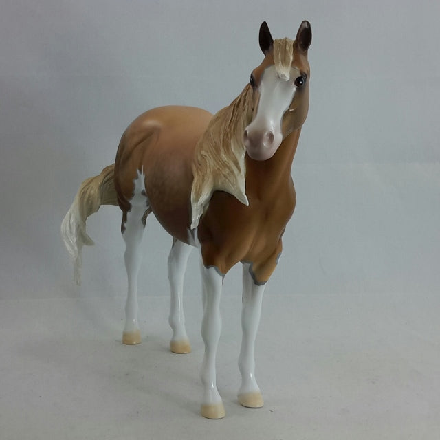 SHIPS WHEEL - OOAK Dapple Sooty Palomino Stock Horse