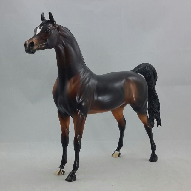 SYLVARI - OOAK Dapple Seal Bay Arabian