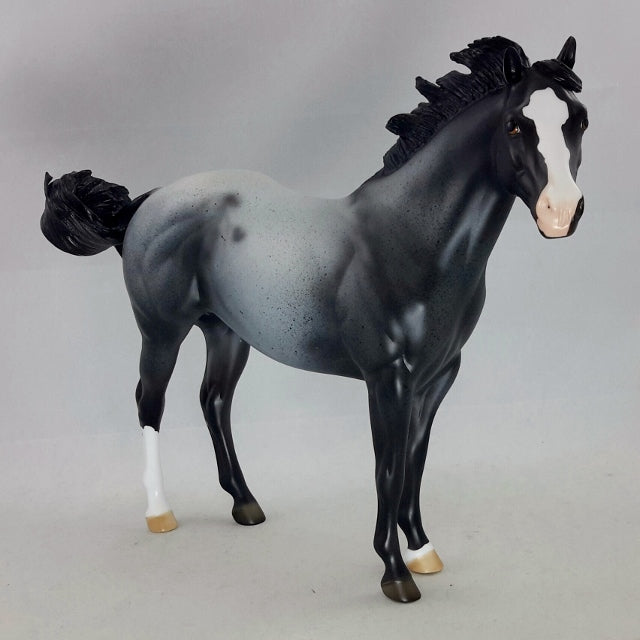 ALAROS - OOAK Blue Roan Stock Horse