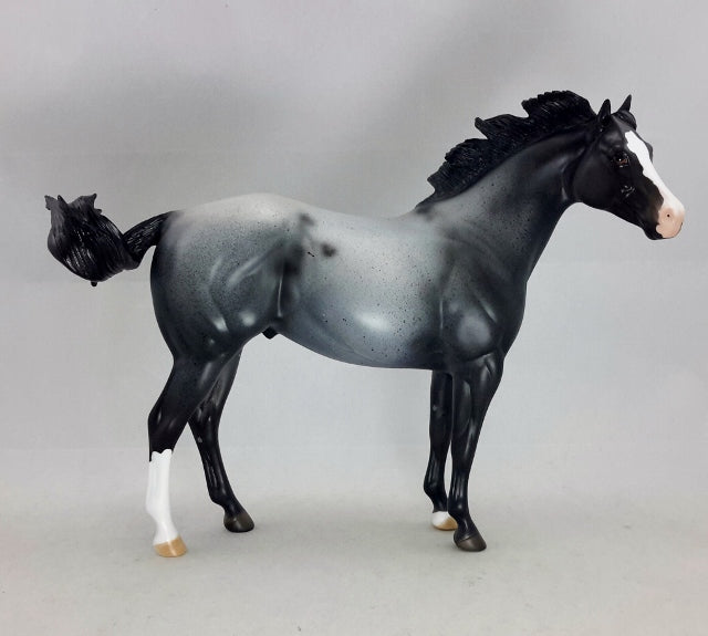 ALAROS - OOAK Blue Roan Stock Horse