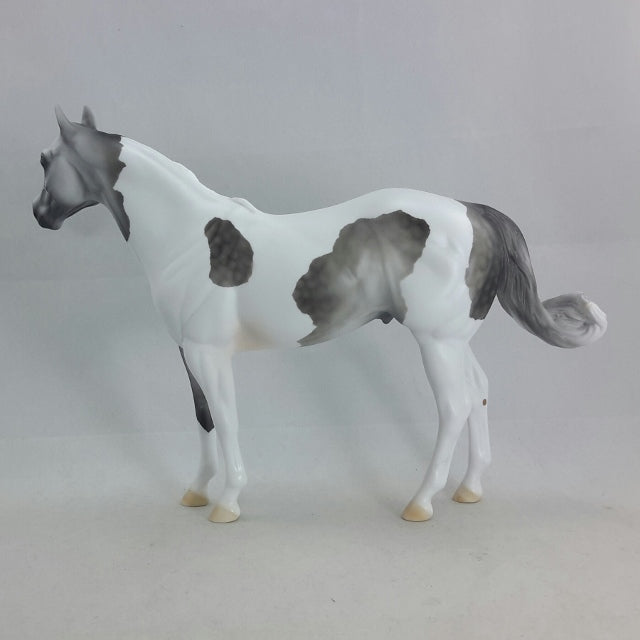 OBERON - OOAK Gray Dapple Tobiano Stock Horse