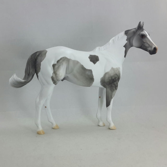 OBERON - OOAK Gray Dapple Tobiano Stock Horse