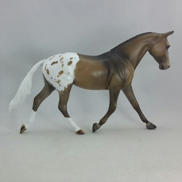ALEA - OOAK Chestnut Appaloosa English Palouse
