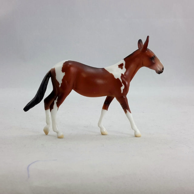 KHAJIT - Pinto Mule Chip Model