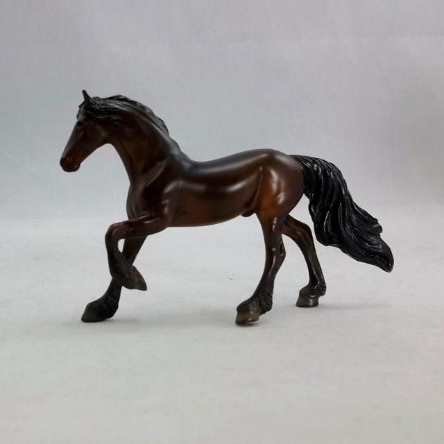 CORGAK - Bay Freisian