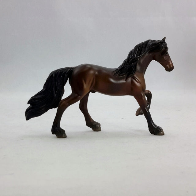 CORGAK - Bay Freisian