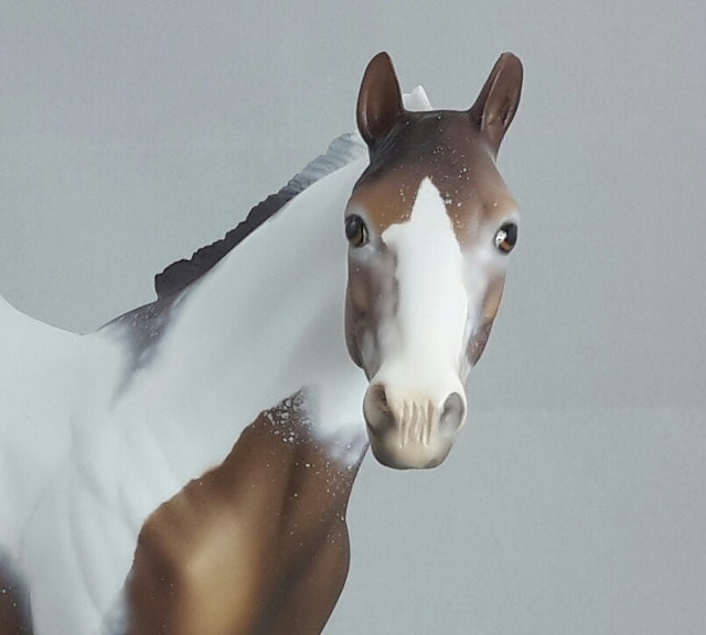 MS. FROSTY - OOAK BAY PINTALOOSA