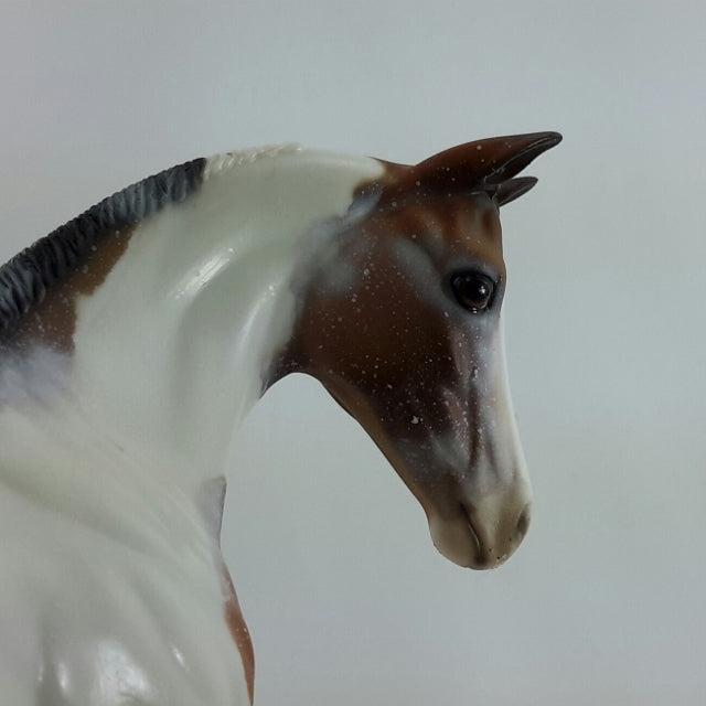 MS. FROSTY'S PRIDE - OOAK Chestnut Weanling Tobiano