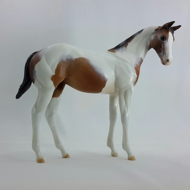 MS. FROSTY'S PRIDE - OOAK Chestnut Weanling Tobiano
