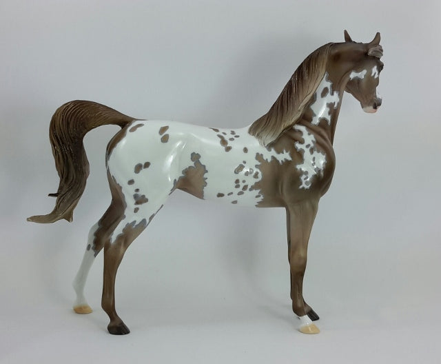 YOU GO GIRL - OOAK Appaloosa Arabian