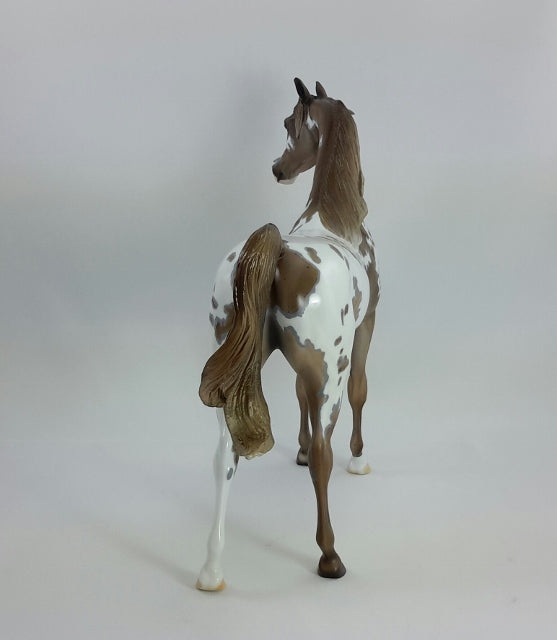 YOU GO GIRL - OOAK Appaloosa Arabian