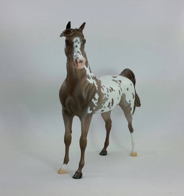 YOU GO GIRL - OOAK Appaloosa Arabian