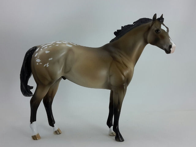 HIGH POCKETS - OOAK Brown Bay Appaloosa