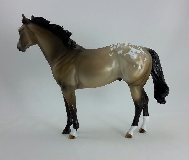 HIGH POCKETS - OOAK Brown Bay Appaloosa