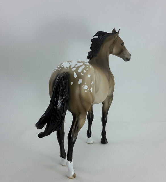 HIGH POCKETS - OOAK Brown Bay Appaloosa