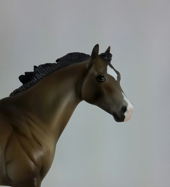 HIGH POCKETS - OOAK Brown Bay Appaloosa