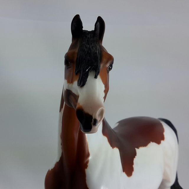 ABNER - OOAK Bay Pinto Morgan 11/14