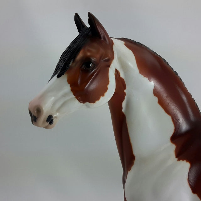 ABNER - OOAK Bay Pinto Morgan 11/14