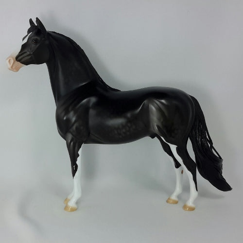 GIBLETS & GRAVY - OOAK Black Dapple Morgan