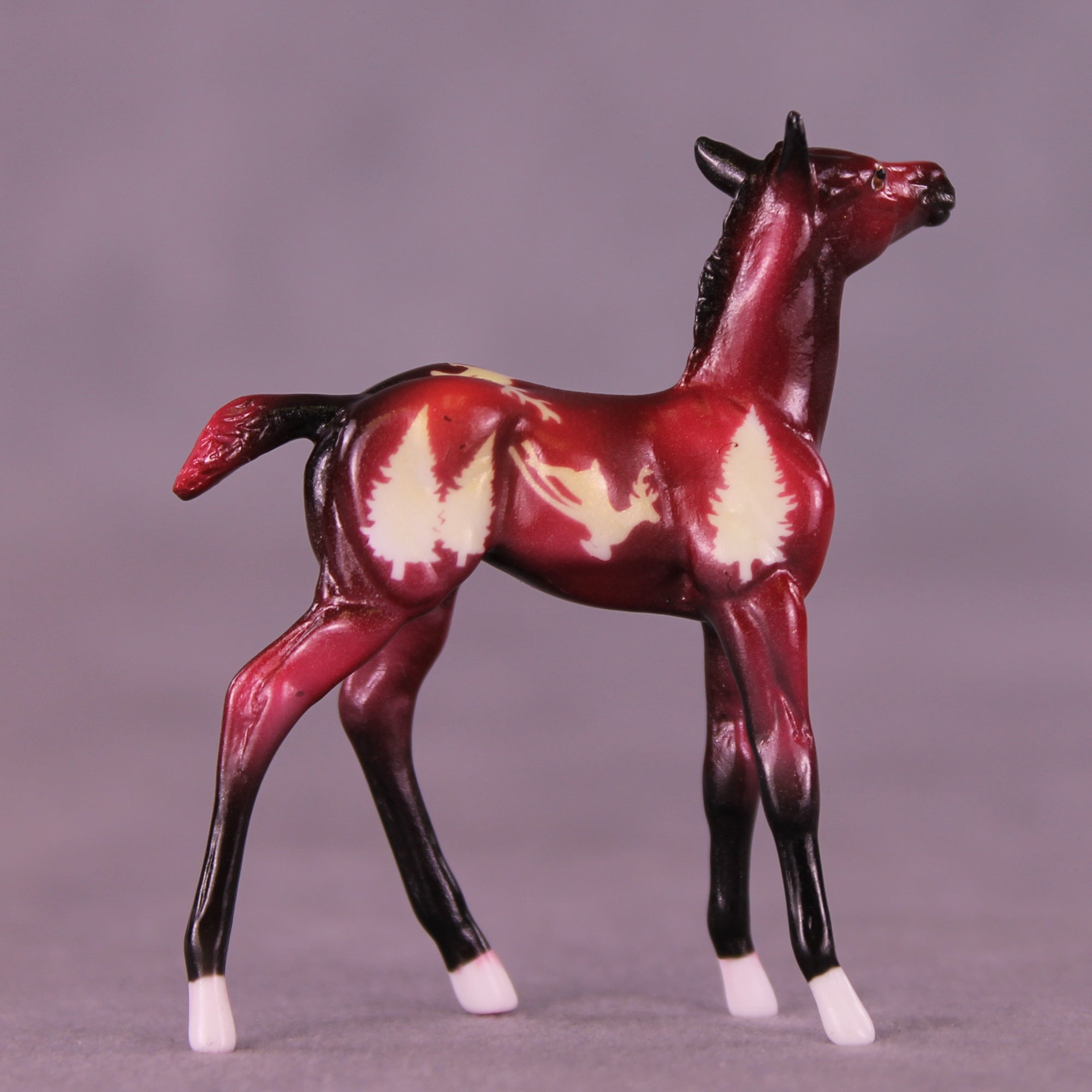 Tinsel Nibble OOAK Chip Foal by Enrique Duarte HS25