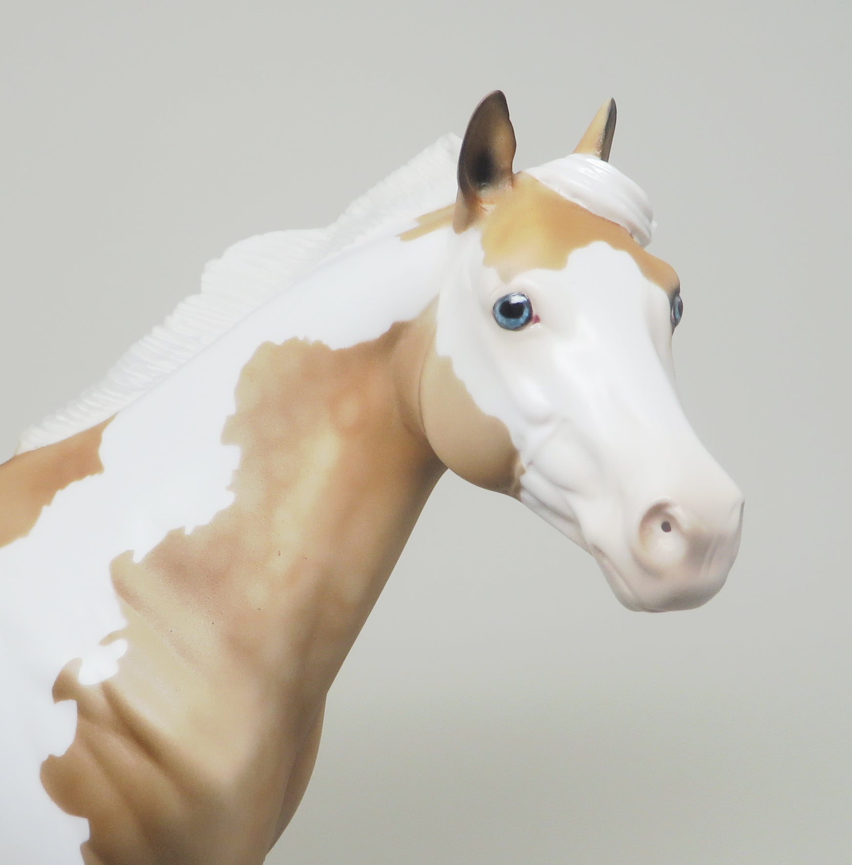 WATCH ME-LE-3 PALOMINO PAINT ISH MODEL HORSE 4/21
