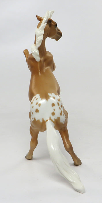 Appaloosa