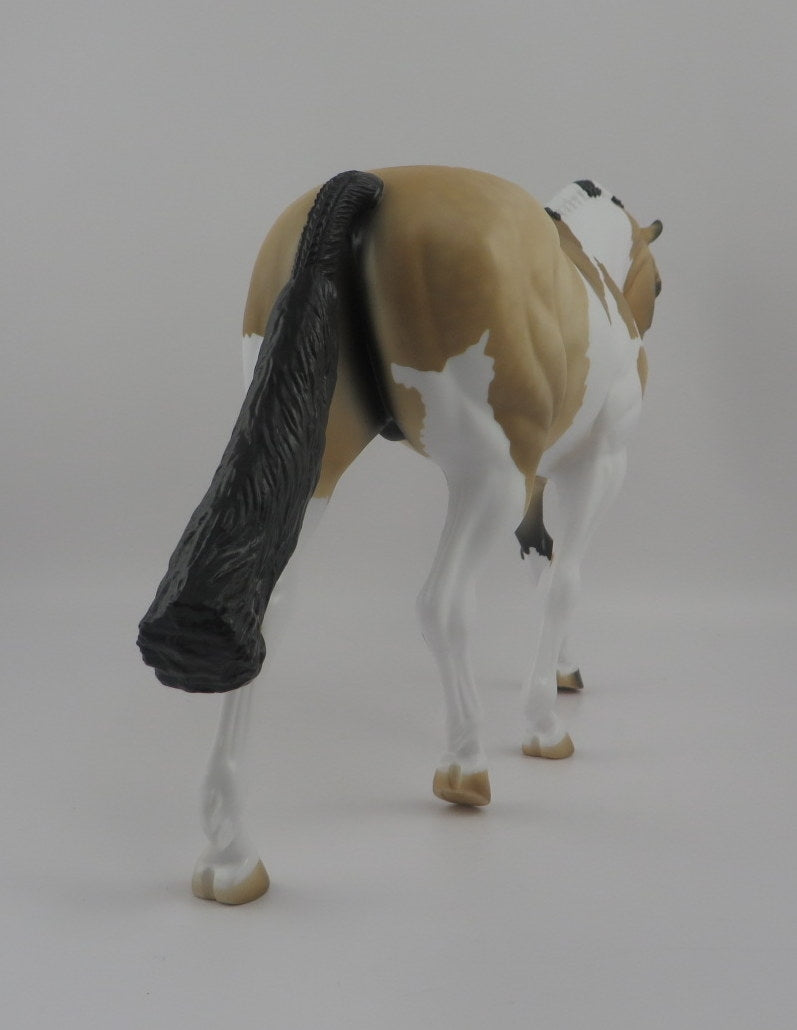 Jacques-OOAK Dapple Buckskin Paint Irish Draft EQ 2020