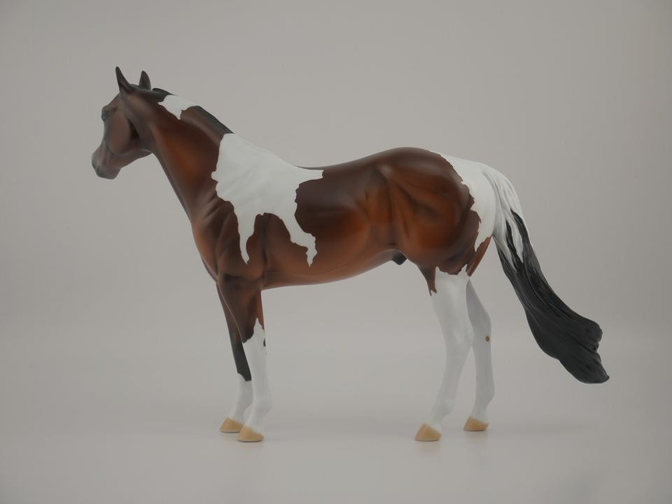 Buckeye CM -- LE-10 Bay Pinto by Kayla Wesse