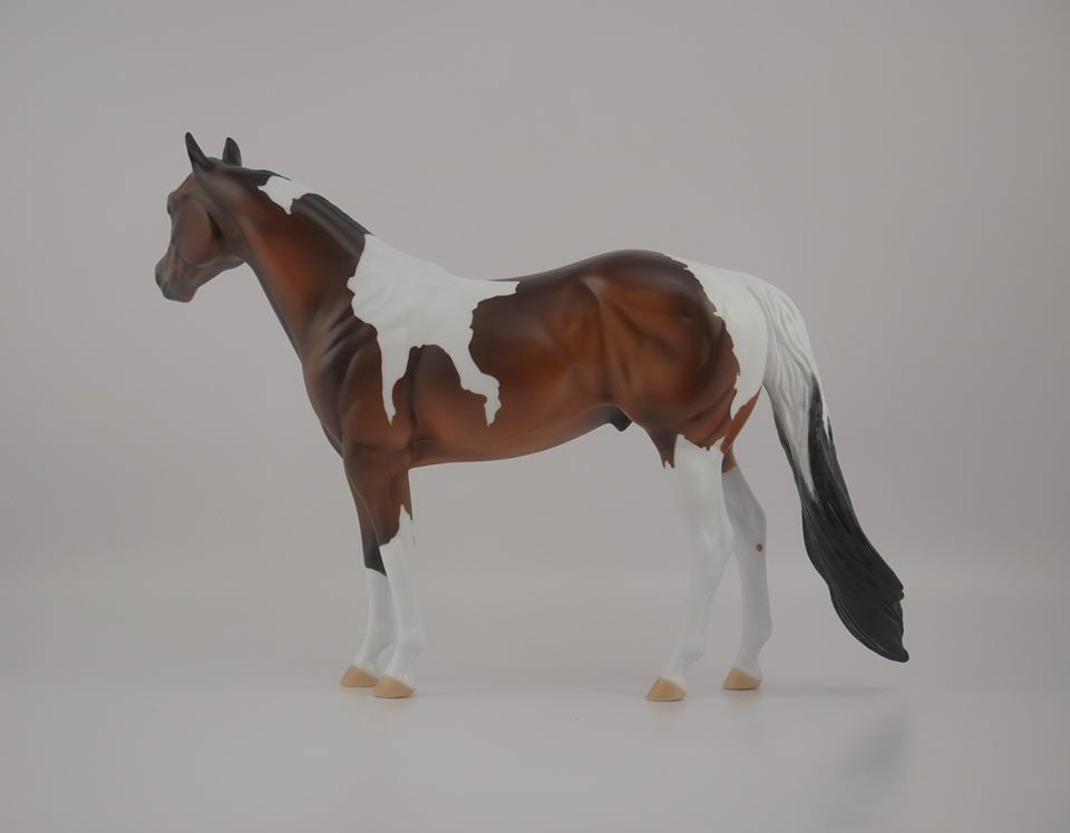 Buckeye -- LE-3 Bay Pinto by Kayla Wesse