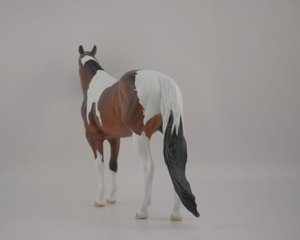 Buckeye -- LE-3 Bay Pinto by Kayla Wesse