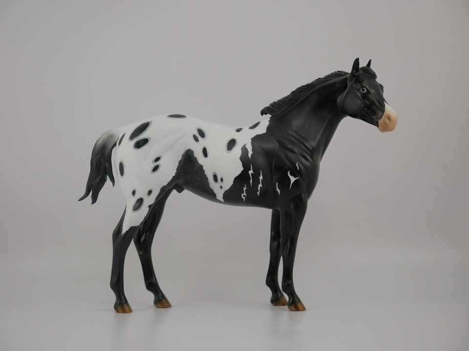 BUMI-LE-? LOUD APPALOOSA ISH MODEL HORSE 7/17/20