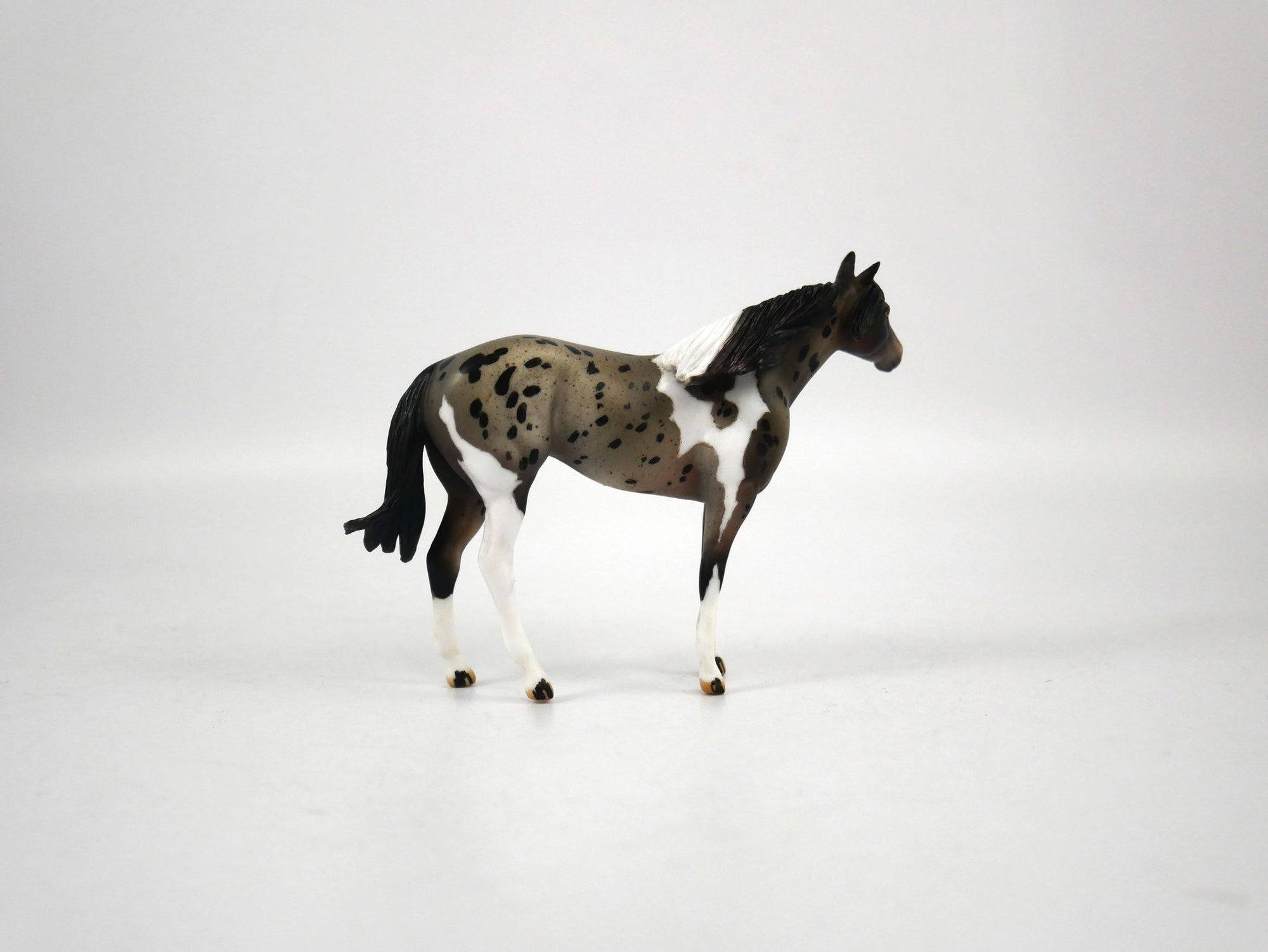 I Spot You-LE-? Silver Tier Loyalty Blue Roan Pintaloosa Stock Horse Chip By Julie Keim 1/7/21