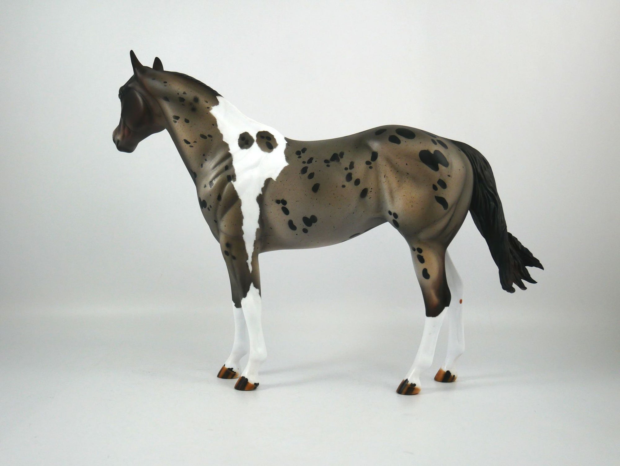 I Spot You-LE-? Gold Tier Loyalty Blue Roan Pintaloosa ISH By Julie Keim 1/7/21