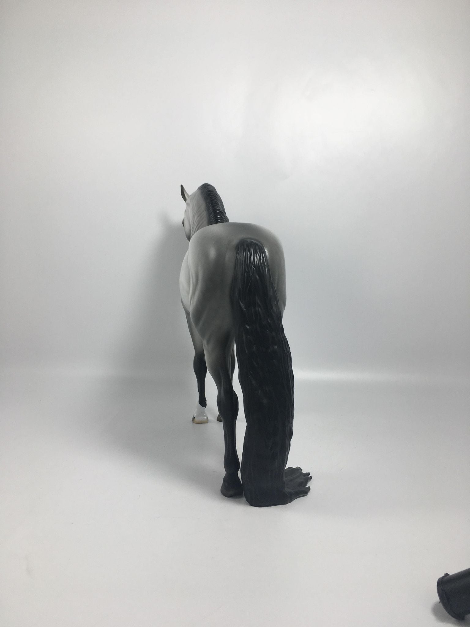 Mambo-OOAK Mardi Gras Andalusian 2/16/21