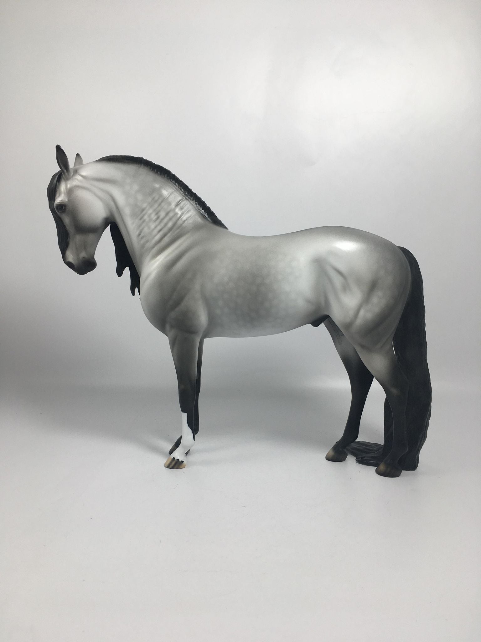 Mambo-OOAK Mardi Gras Andalusian 2/16/21