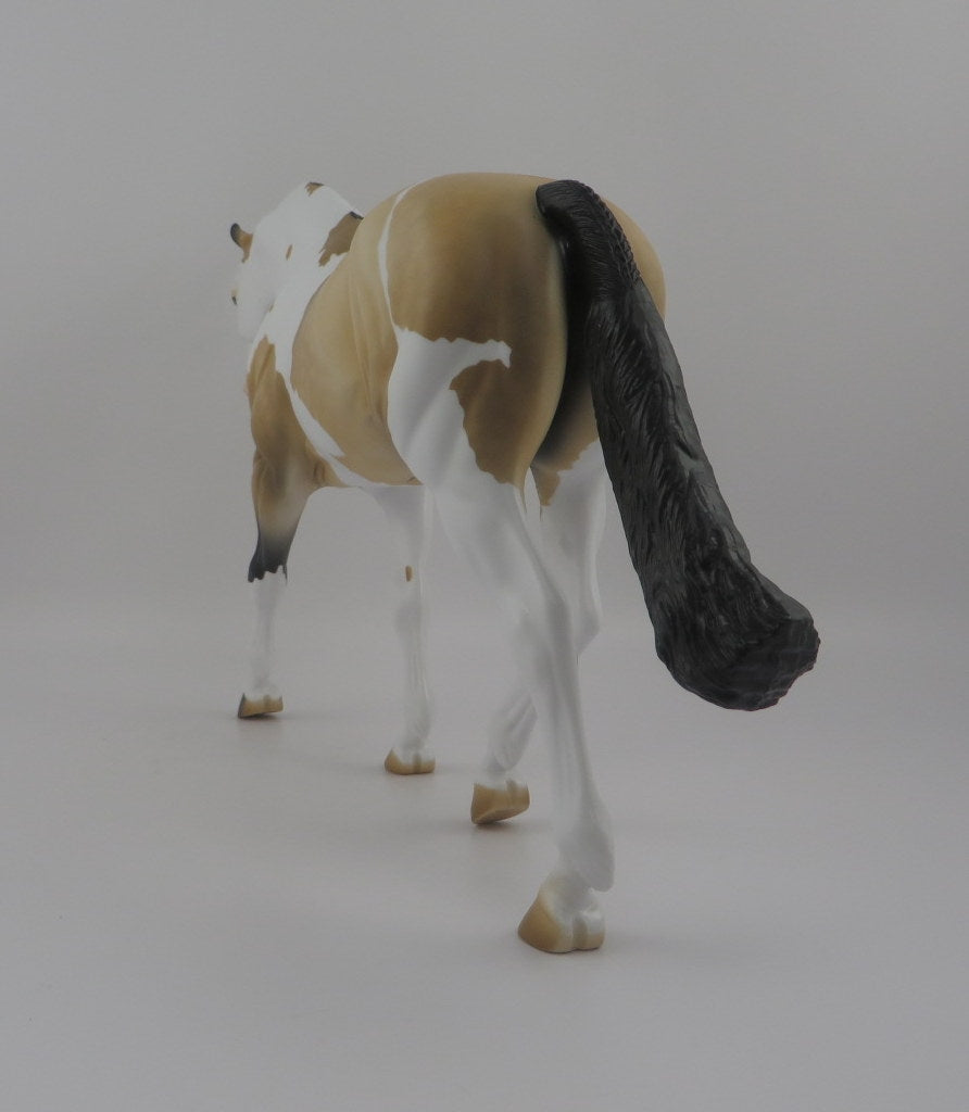 Jacques-OOAK Dapple Buckskin Paint Irish Draft EQ 2020