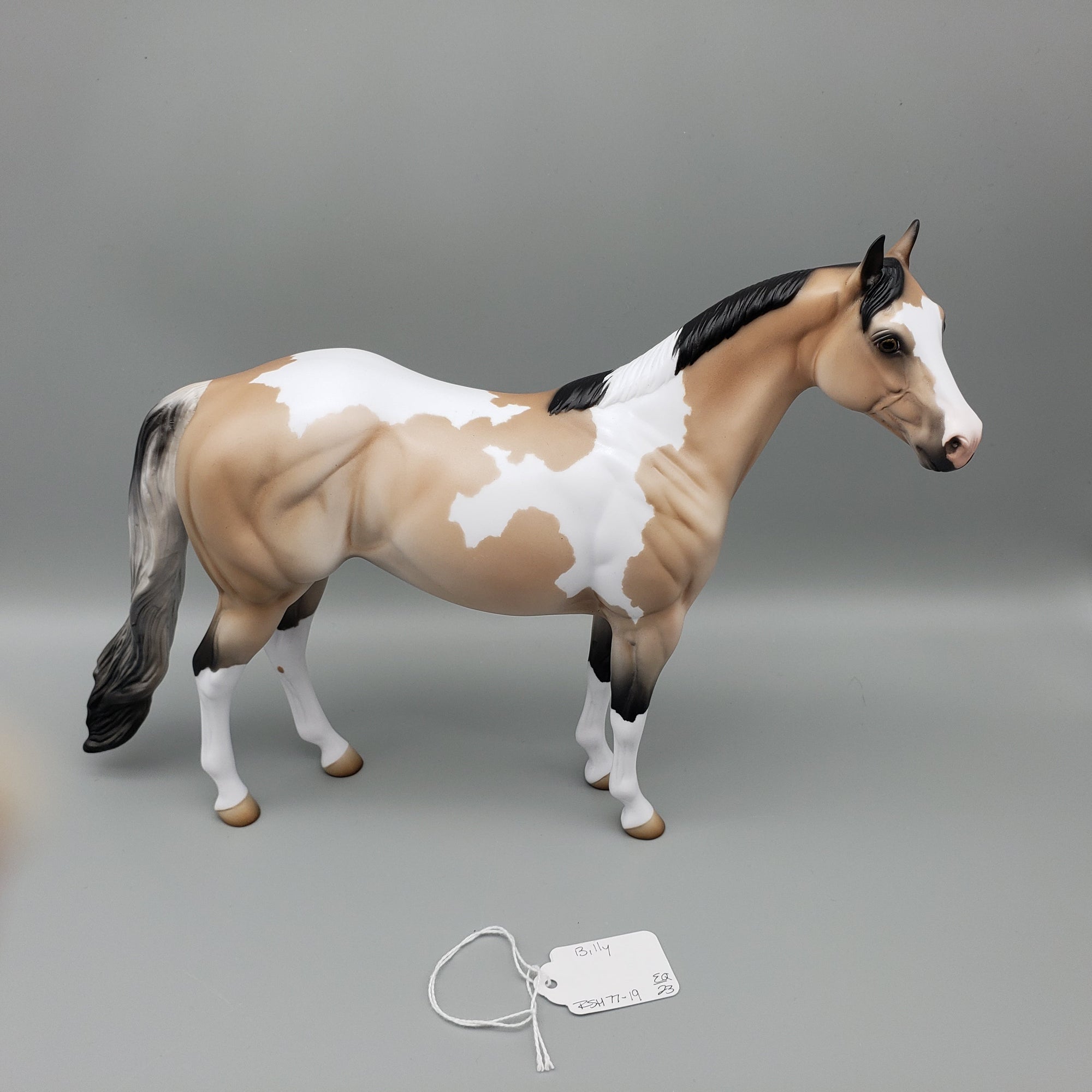 Billy - OOAK - Buckskin Tobiano ISH By Jess Hamill EQ23